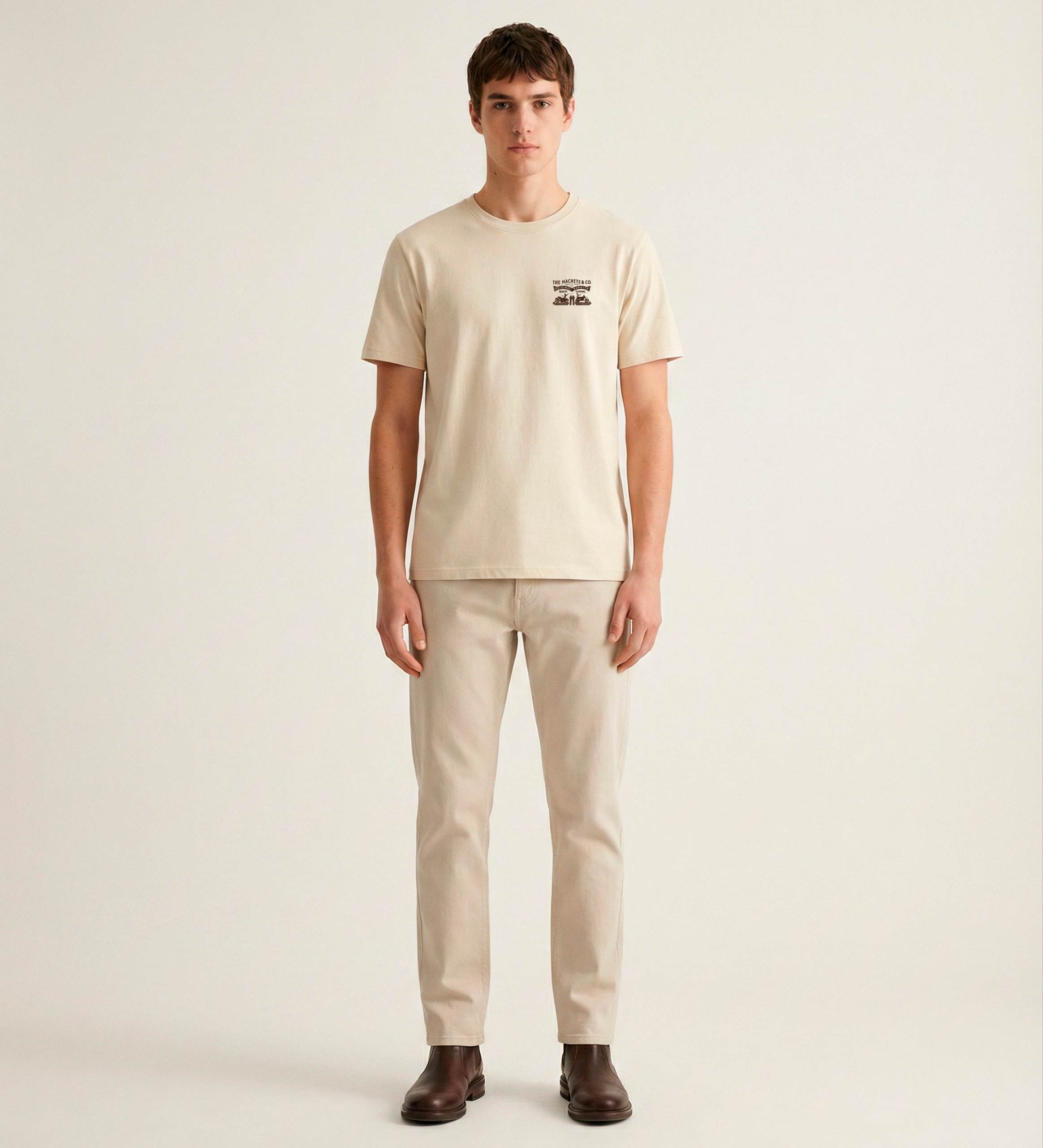 Levis T-shirt