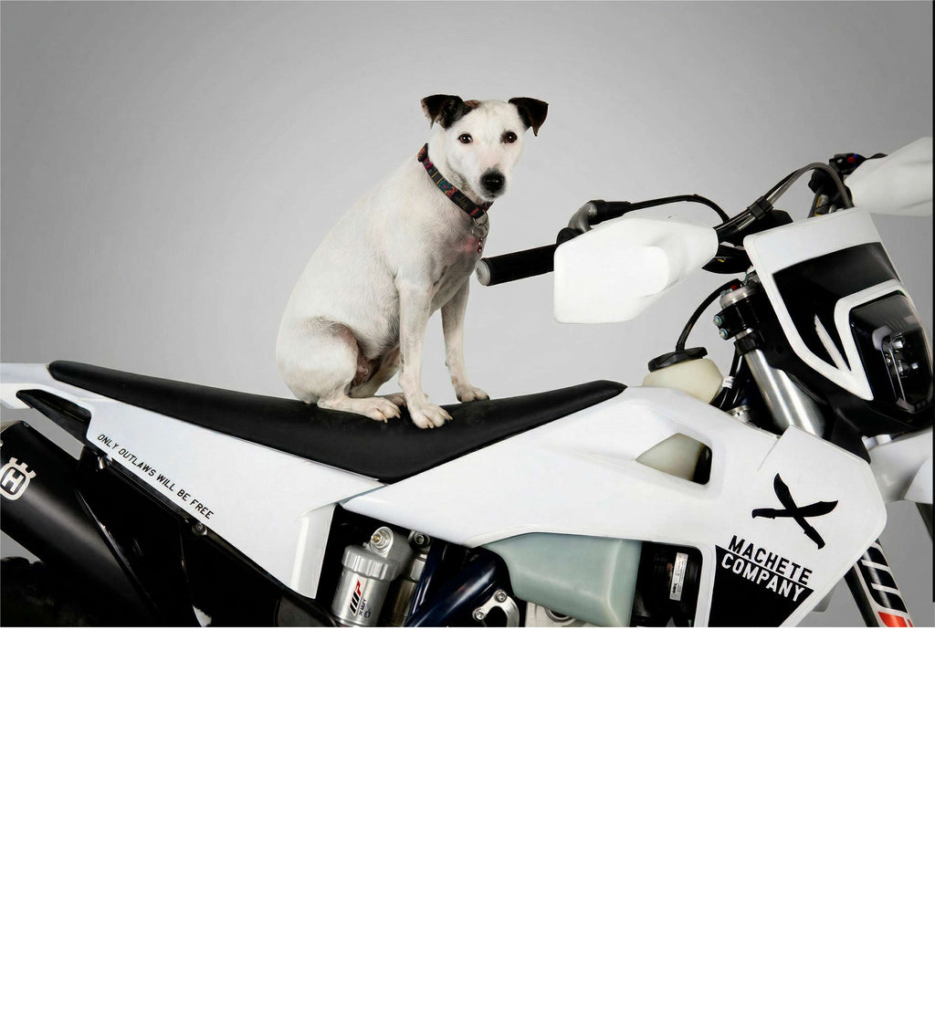 CAFE RACER SEAT BMW